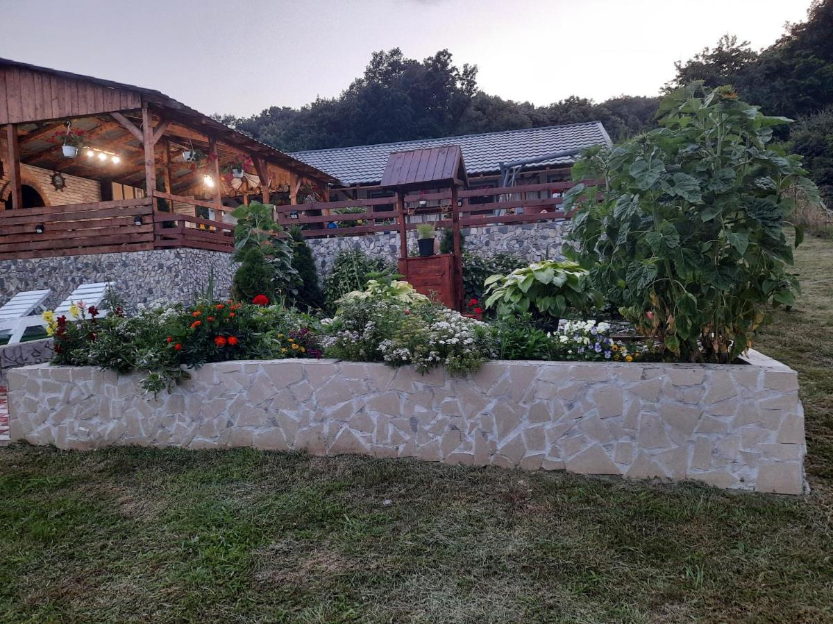 Casa Claudiu Villa Ieşelniţa Buitenkant foto