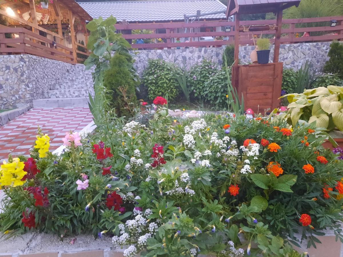 Casa Claudiu Villa Ieşelniţa Buitenkant foto